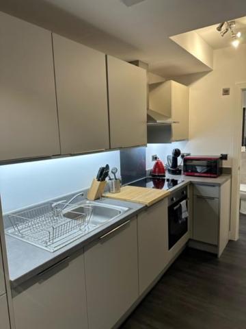 Apartment Stunning Flat With Parking Free Near Sutton Station